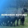ROMANOV