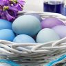 Mavi Yumurta Üretimi